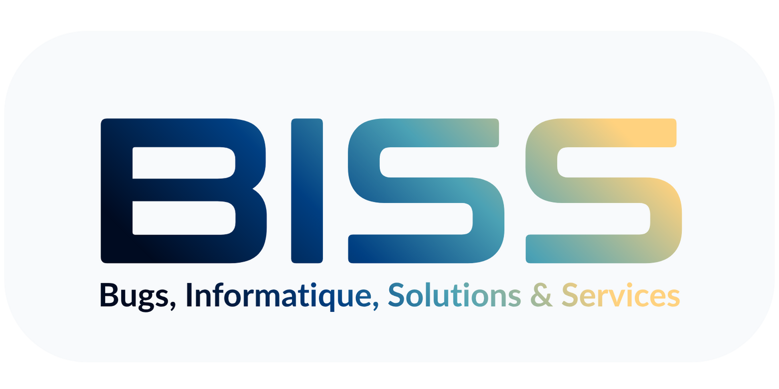 BISS - D�pannage informatique � Saint-Gaudens